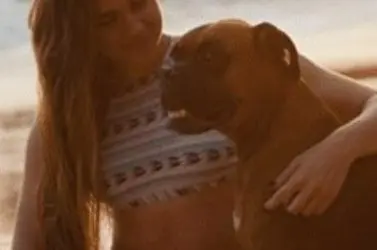 What evidence can I provide for a dog bite case?