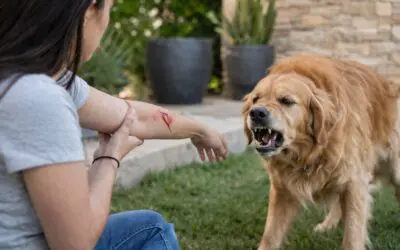 Bitten by a Friend’s Dog? Your Right to Compensation