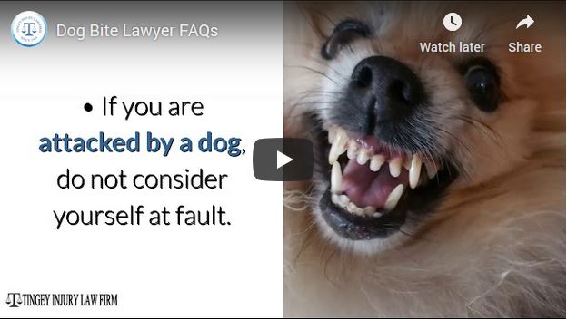 Preguntas frecuentes sobre abogados de mordeduras de perro